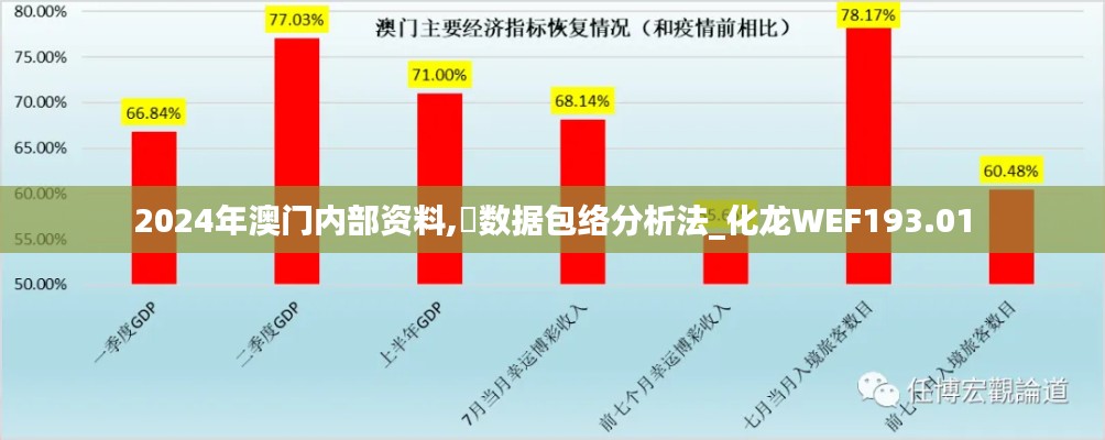 2024年澳門內部資料,?數(shù)據(jù)包絡分析法_化龍WEF193.01