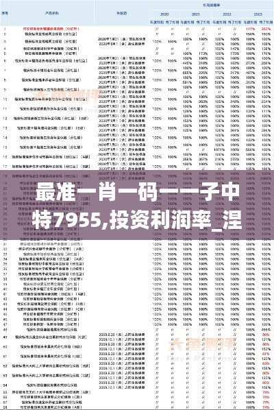 最準(zhǔn)一肖一碼一一子中特7955,投資利潤率_涅槃境XRO458.84