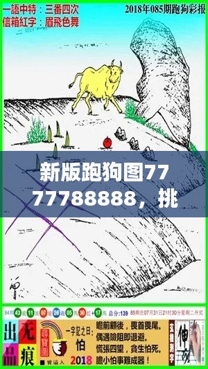 新版跑狗圖7777788888，挑戰(zhàn)TDM565.02資料解析