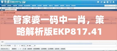 管家婆一碼中一肖，策略解析版EKP817.41測試版