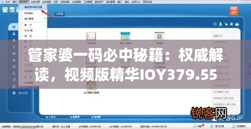 管家婆一碼必中秘籍：權(quán)威解讀，視頻版精華IOY379.55