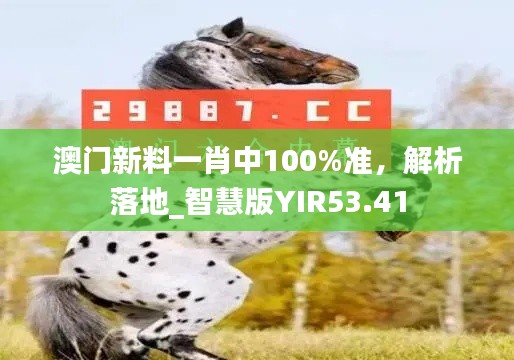 澳門新料一肖中100%準(zhǔn)，解析落地_智慧版YIR53.41