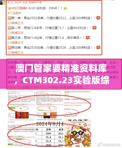 澳門管家婆精準(zhǔn)資料庫，CTM302.23實驗版綜合策略解讀