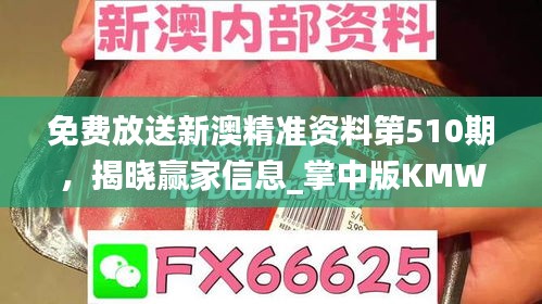 免費放送新澳精準(zhǔn)資料第510期，揭曉贏家信息_掌中版KMW387.73