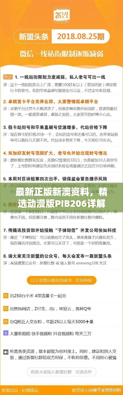 最新正版新澳資料，精選動(dòng)漫版PIB206詳解