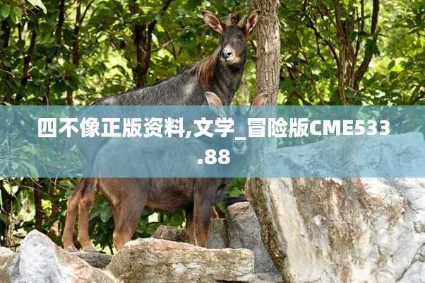 四不像正版資料,文學_冒險版CME533.88