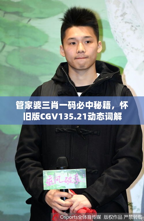 管家婆三肖一碼必中秘籍，懷舊版CGV135.21動態(tài)詞解