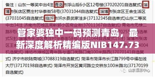 管家婆獨中一碼預(yù)測青島，最新深度解析精編版NIB147.73