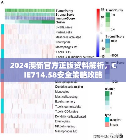 2024澳新官方正版資料解析，CIE714.58安全策略攻略