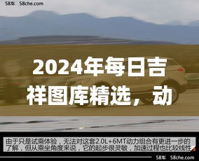 2024年每日吉祥圖庫精選，動態(tài)解讀_SXR232.69遺憾缺席