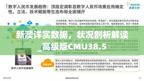 新澳詳實數(shù)據(jù)，狀況剖析解讀_高級版CMU38.5