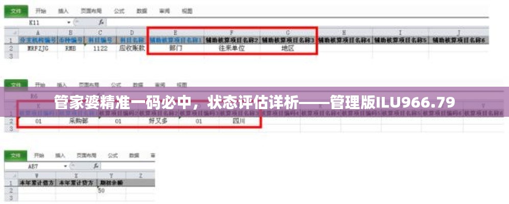 管家婆精準(zhǔn)一碼必中，狀態(tài)評估詳析——管理版ILU966.79