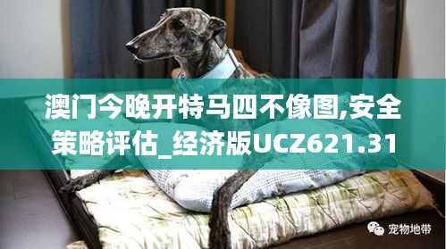 澳門今晚開特馬四不像圖,安全策略評估_經(jīng)濟版UCZ621.31