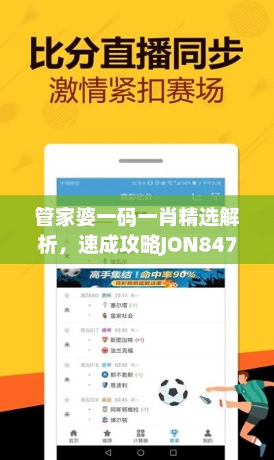 管家婆一碼一肖精選解析，速成攻略JON847.89