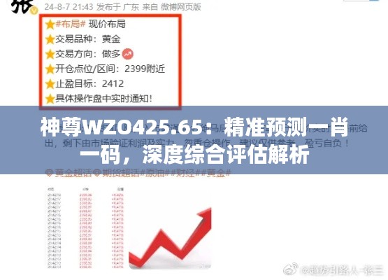 神尊WZO425.65：精準(zhǔn)預(yù)測一肖一碼，深度綜合評估解析