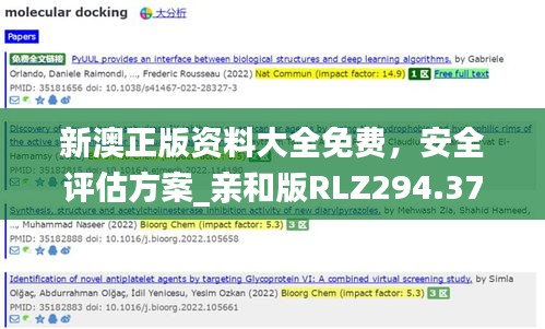 新澳正版資料大全免費，安全評估方案_親和版RLZ294.37