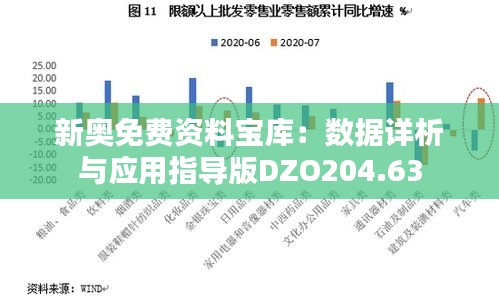 新奧免費資料寶庫：數(shù)據(jù)詳析與應(yīng)用指導版DZO204.63