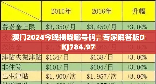 澳門2024今晚揭曉哪號碼，專家解答版DKJ784.97