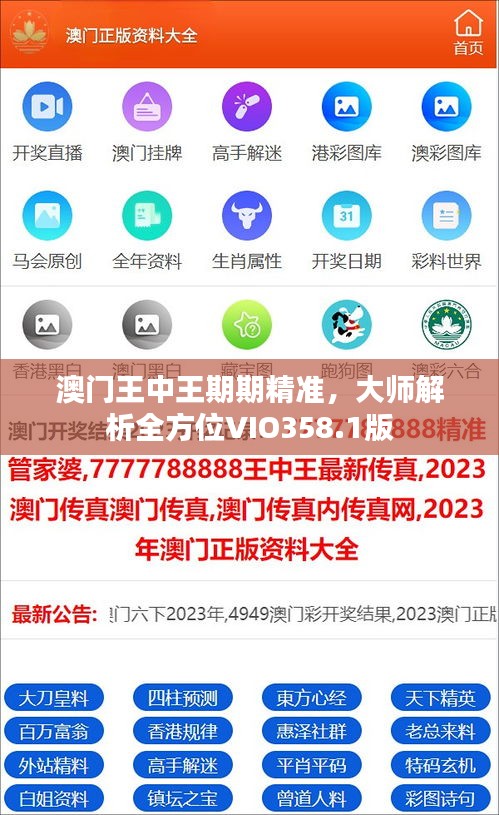 澳門王中王期期精準(zhǔn)，大師解析全方位VIO358.1版