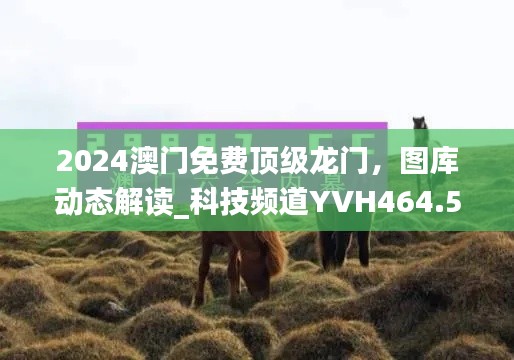 2024澳門免費(fèi)頂級龍門，圖庫動(dòng)態(tài)解讀_科技頻道YVH464.54