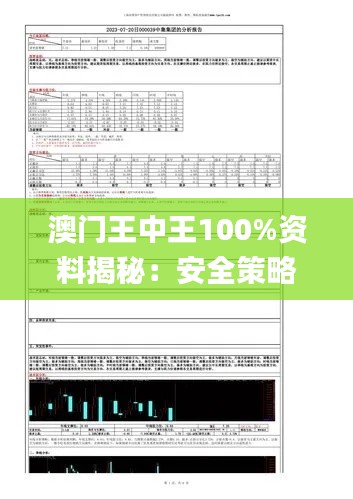 澳門王中王100%資料揭秘：安全策略評(píng)估報(bào)告_造化境XUK645.54