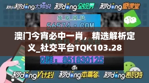 澳門今宵必中一肖，精選解析定義_社交平臺TQK103.28