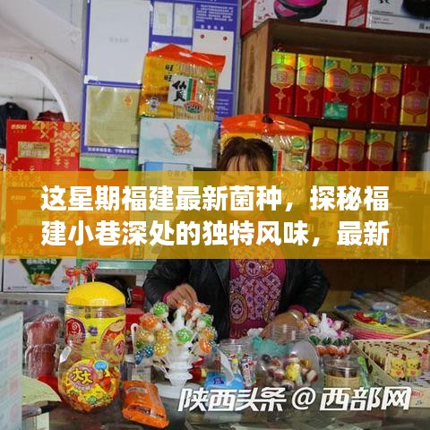 福建小巷深處的獨特風味，最新菌種小店之旅探秘記