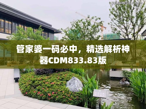 管家婆一碼必中，精選解析神器CDM833.83版