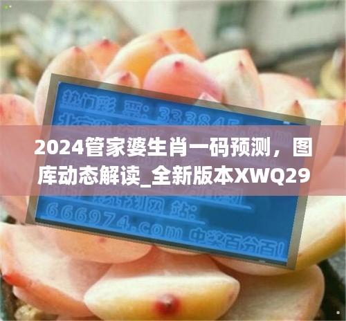 2024管家婆生肖一碼預(yù)測，圖庫動態(tài)解讀_全新版本XWQ290.47