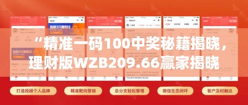 “精準(zhǔn)一碼100中獎秘籍揭曉，理財版WZB209.66贏家揭曉”