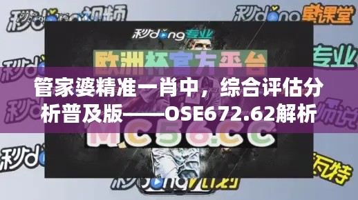 管家婆精準一肖中，綜合評估分析普及版——OSE672.62解析