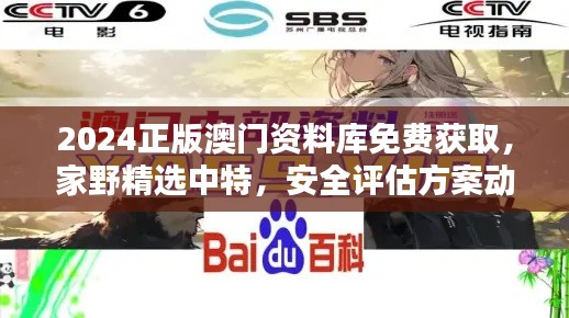 2024正版澳門資料庫免費(fèi)獲取，家野精選中特，安全評估方案動畫版RQF945.86