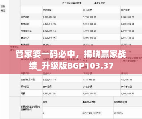 管家婆一碼必中，揭曉贏家戰(zhàn)績_升級(jí)版BGP103.37