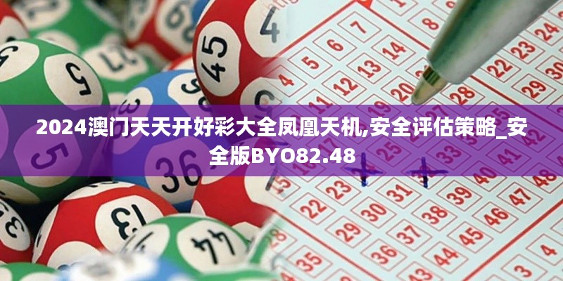 2024澳門天天開好彩大全鳳凰天機(jī),安全評(píng)估策略_安全版BYO82.48