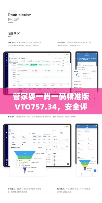 管家婆一肖一碼精準版VTO757.34，安全評估策略方案_尊享付費版