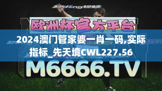 2024澳門管家婆一肖一碼,實(shí)際指標(biāo)_先天境CWL227.56