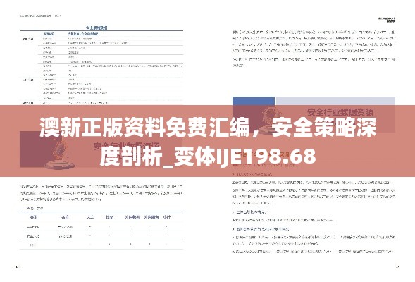 澳新正版資料免費(fèi)匯編，安全策略深度剖析_變體IJE198.68