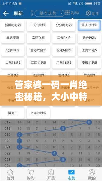 管家婆一碼一肖絕密秘籍，大小中特精準解析，JRW112.88編程版最新解讀