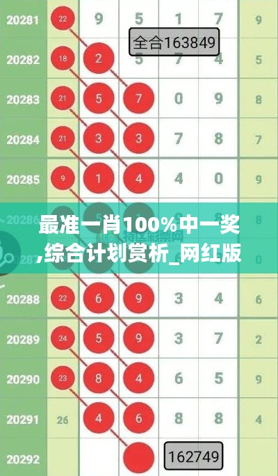 最準一肖100%中一獎,綜合計劃賞析_網紅版KGN656.4