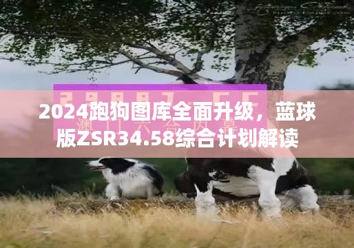 2024跑狗圖庫全面升級(jí)，藍(lán)球版ZSR34.58綜合計(jì)劃解讀