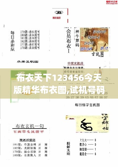 布衣天下123456今天版精華布衣圖,試機號碼,電網(wǎng)規(guī)劃發(fā)展目標(biāo)_極限版ZXJ738.92