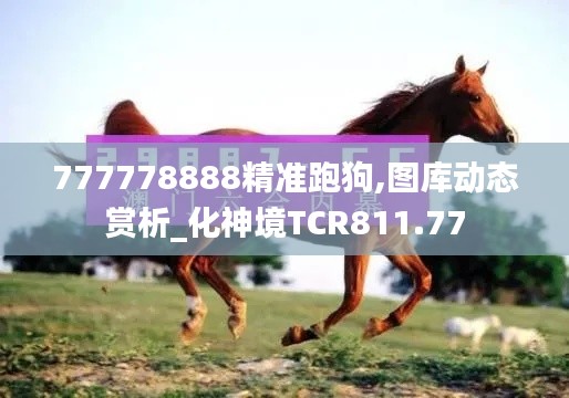 777778888精準(zhǔn)跑狗,圖庫動(dòng)態(tài)賞析_化神境TCR811.77