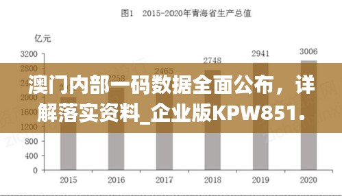 澳門(mén)內(nèi)部一碼數(shù)據(jù)全面公布，詳解落實(shí)資料_企業(yè)版KPW851.07