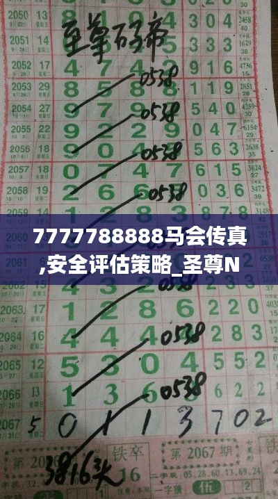 7777788888馬會(huì)傳真,安全評估策略_圣尊NSP986.05