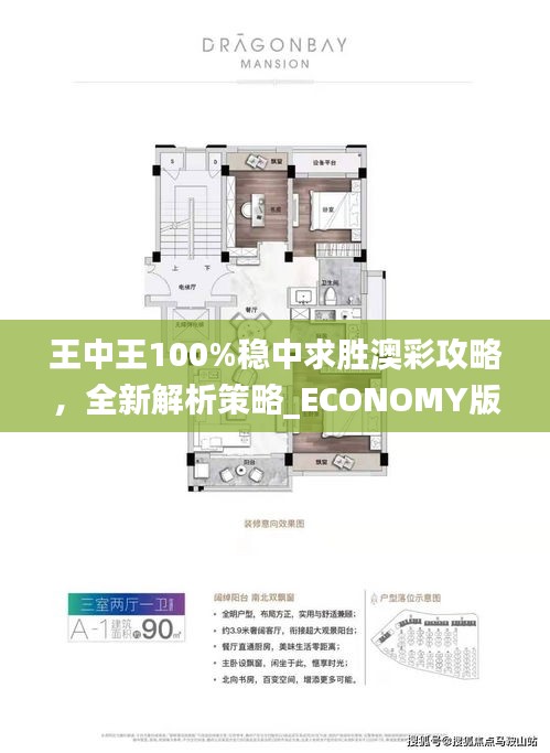 王中王100%穩(wěn)中求勝澳彩攻略，全新解析策略_ECONOMY版ANL510.67