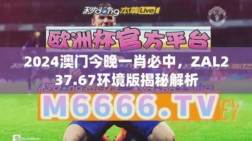 2024澳門(mén)今晚一肖必中，ZAL237.67環(huán)境版揭秘解析