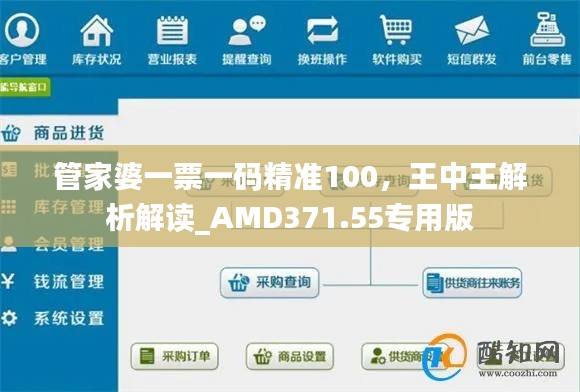 管家婆一票一碼精準(zhǔn)100，王中王解析解讀_AMD371.55專用版