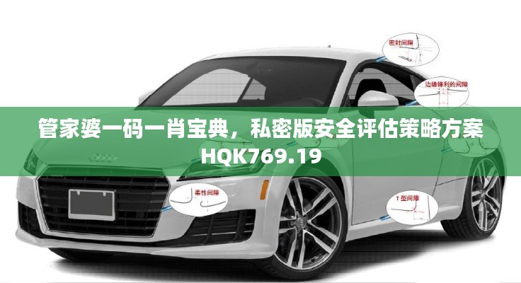 管家婆一碼一肖寶典，私密版安全評估策略方案HQK769.19