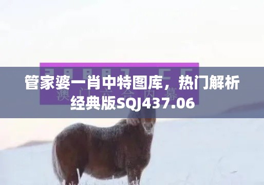 管家婆一肖中特圖庫(kù)，熱門(mén)解析經(jīng)典版SQJ437.06