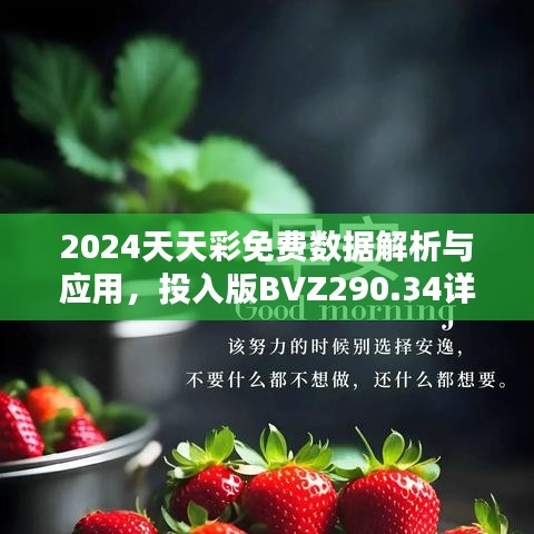 2024天天彩免費數(shù)據(jù)解析與應用，投入版BVZ290.34詳述